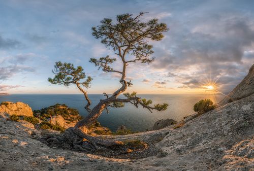 Однажды теплым вечером в Крыму