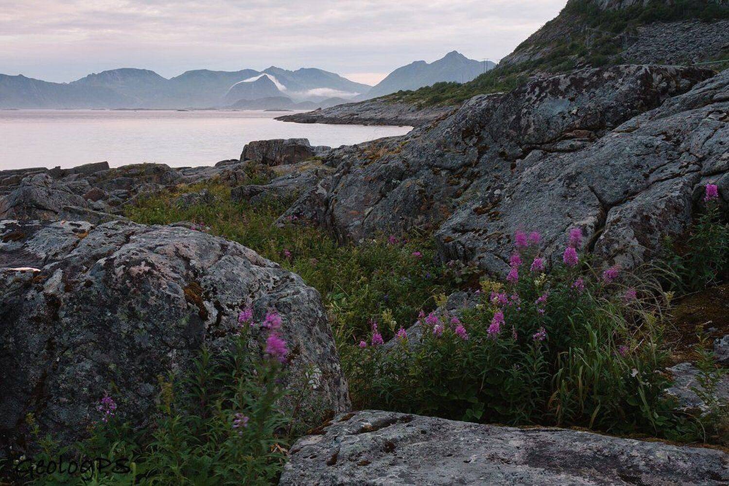 , Питенин Дмитрий