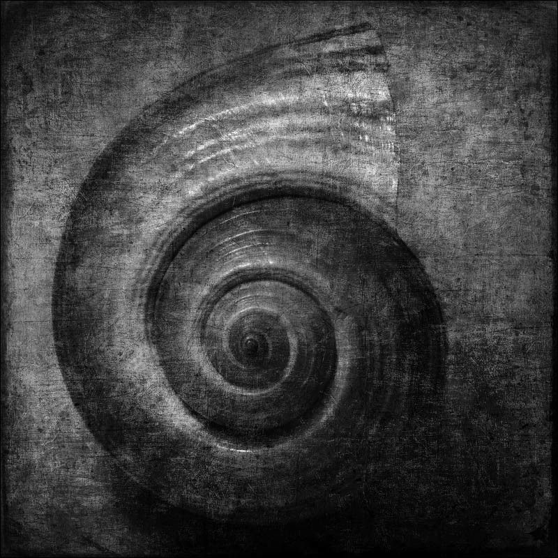 Forms фото превью