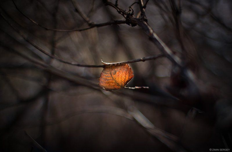 ... фото превью