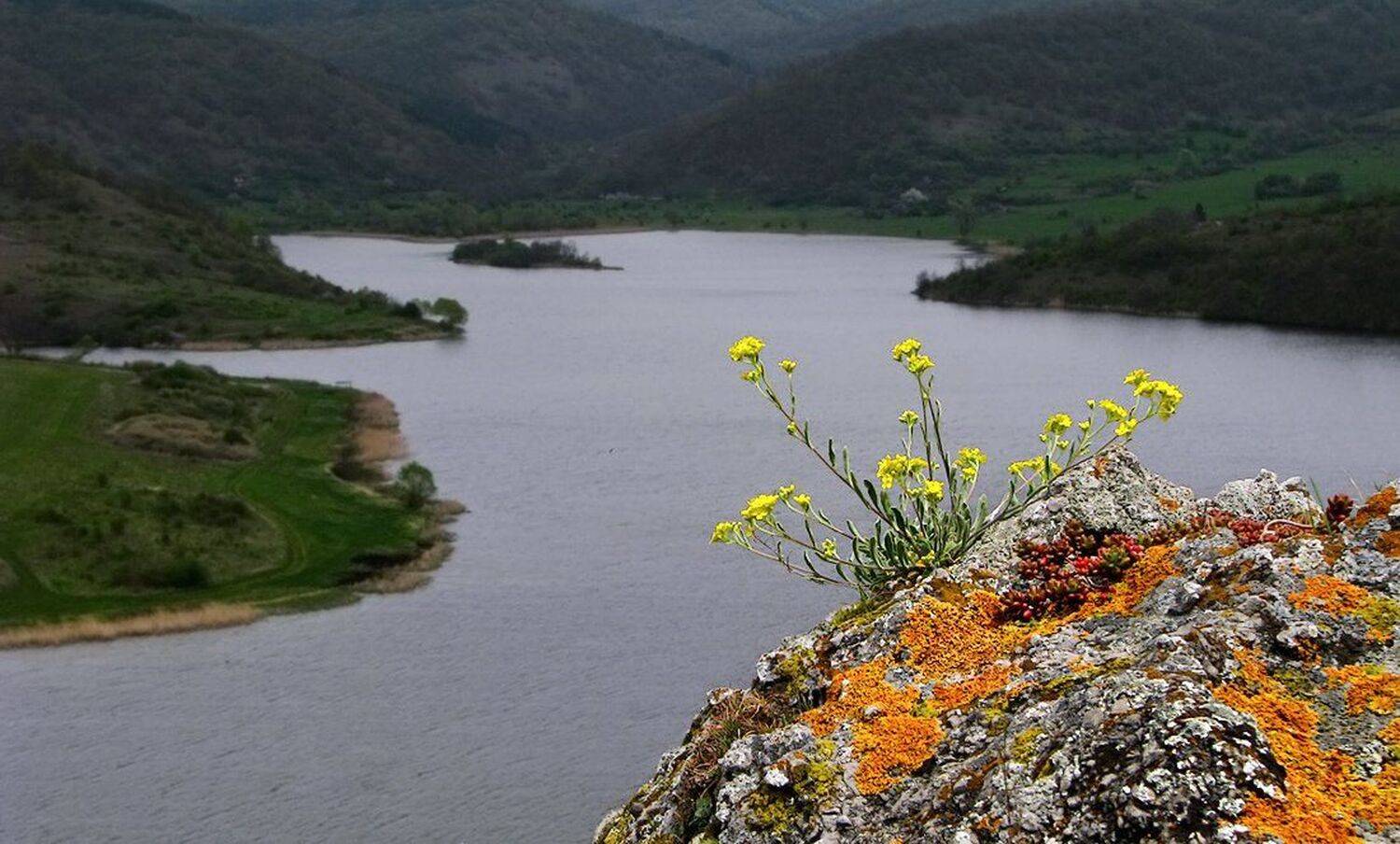 , Ирина Костова