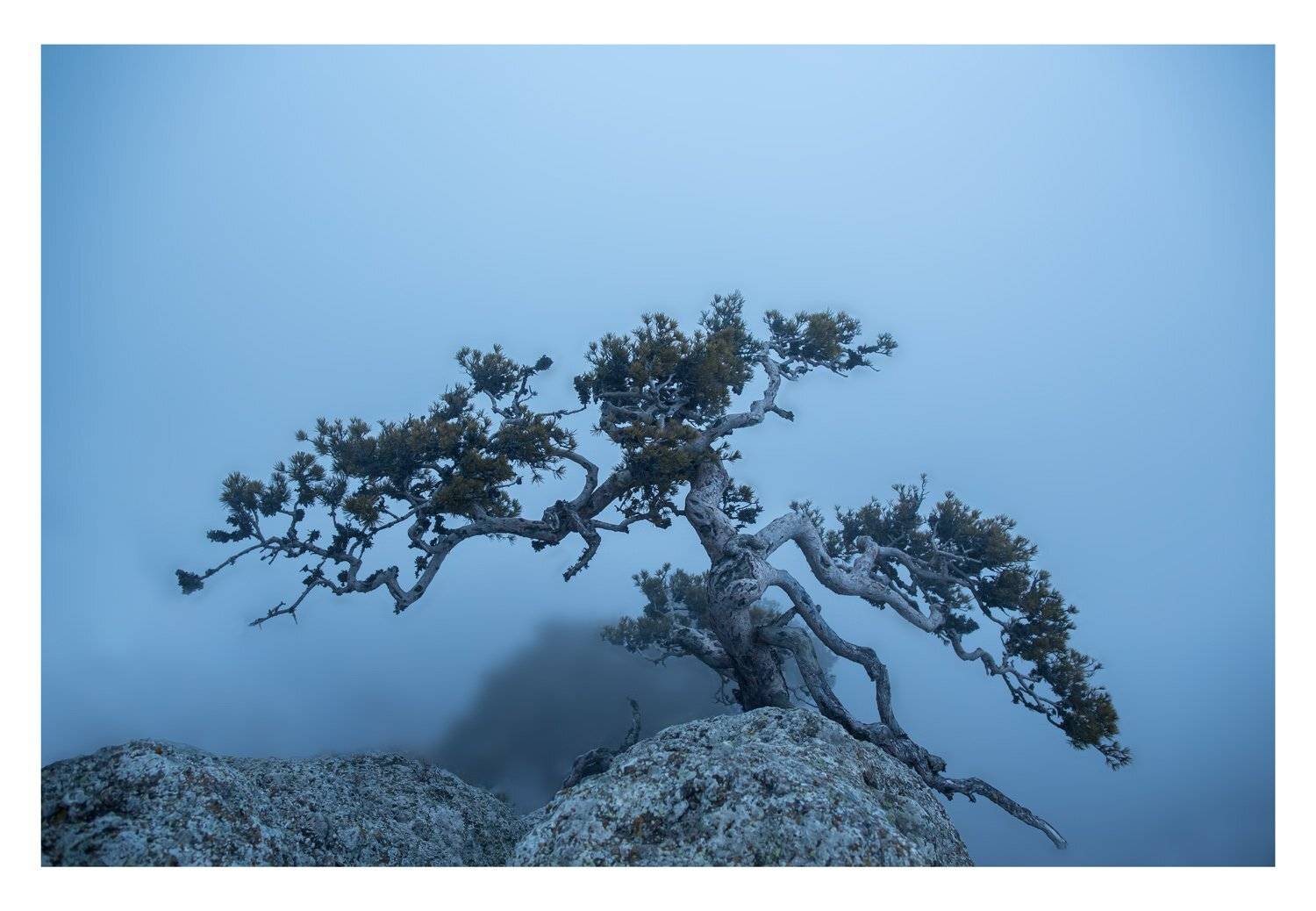 , Станислав Савицкий