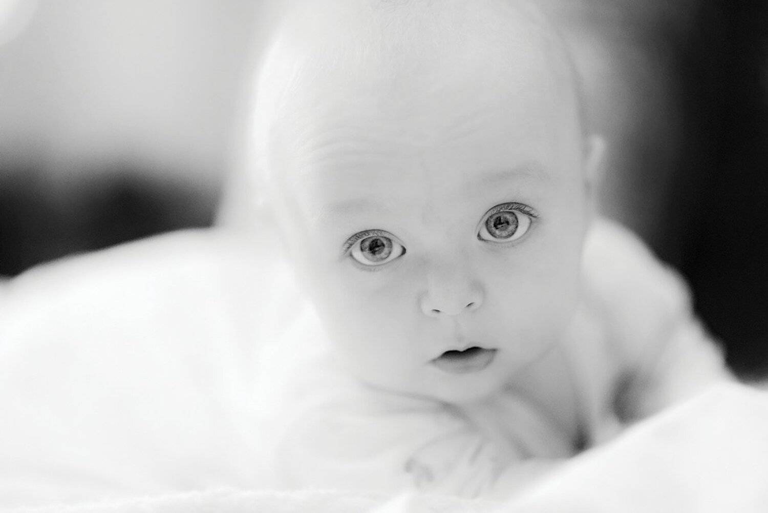 , Виктор Майбах