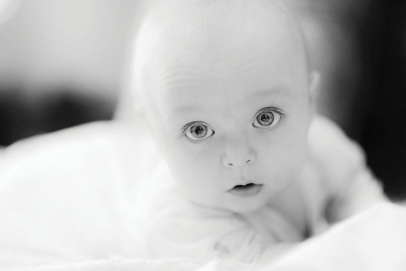 Son... фото превью