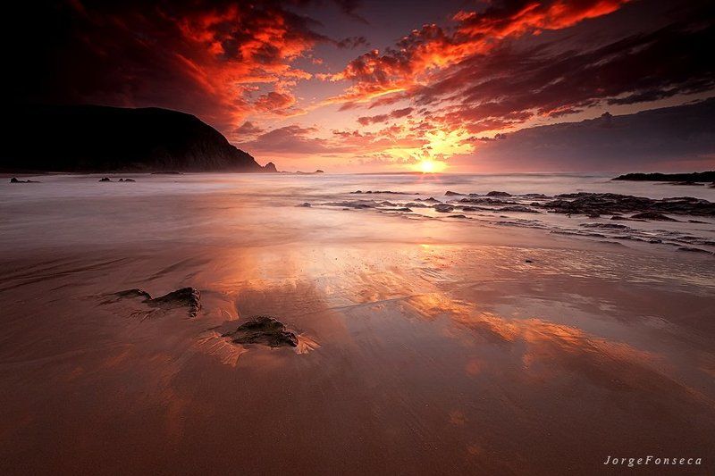 Serene Projections фото превью