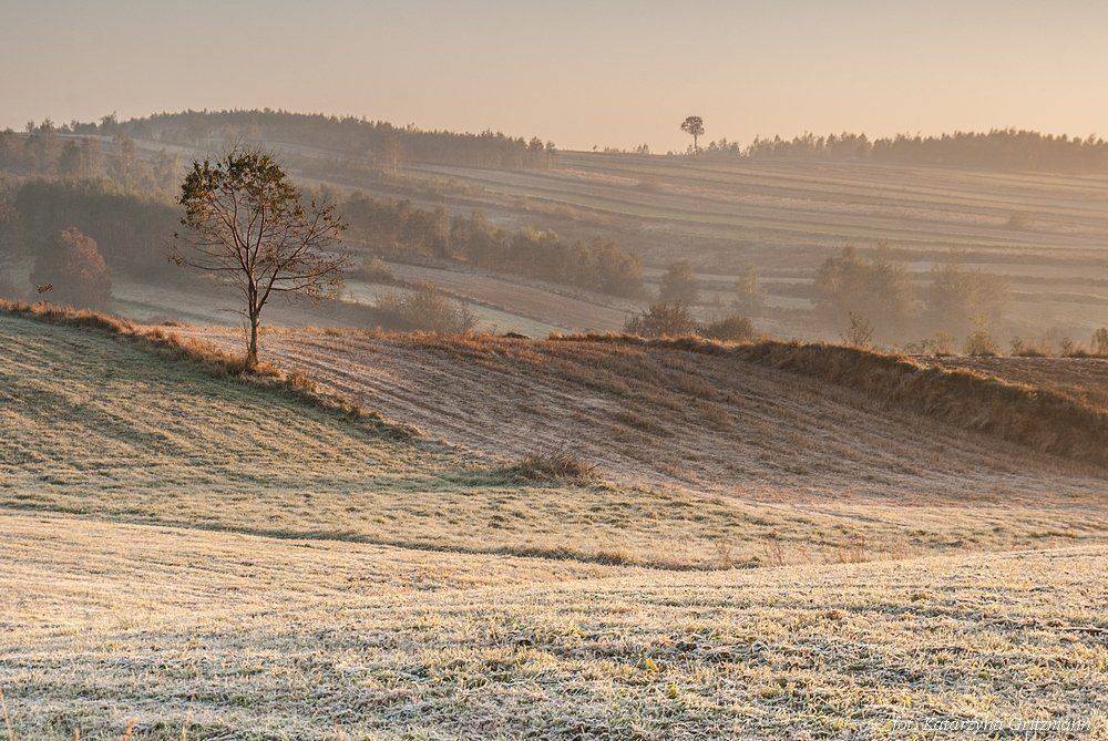 , Katarzyna Gritzmann