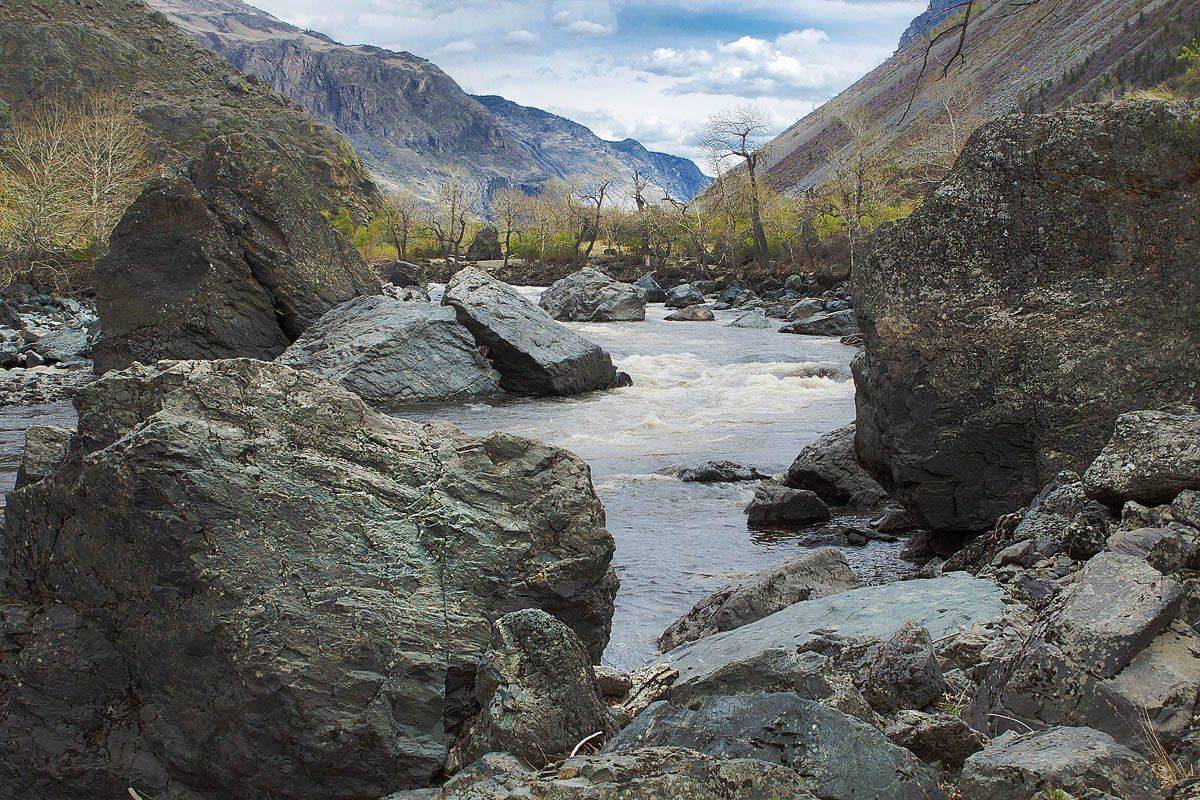 , Качурин Алексей