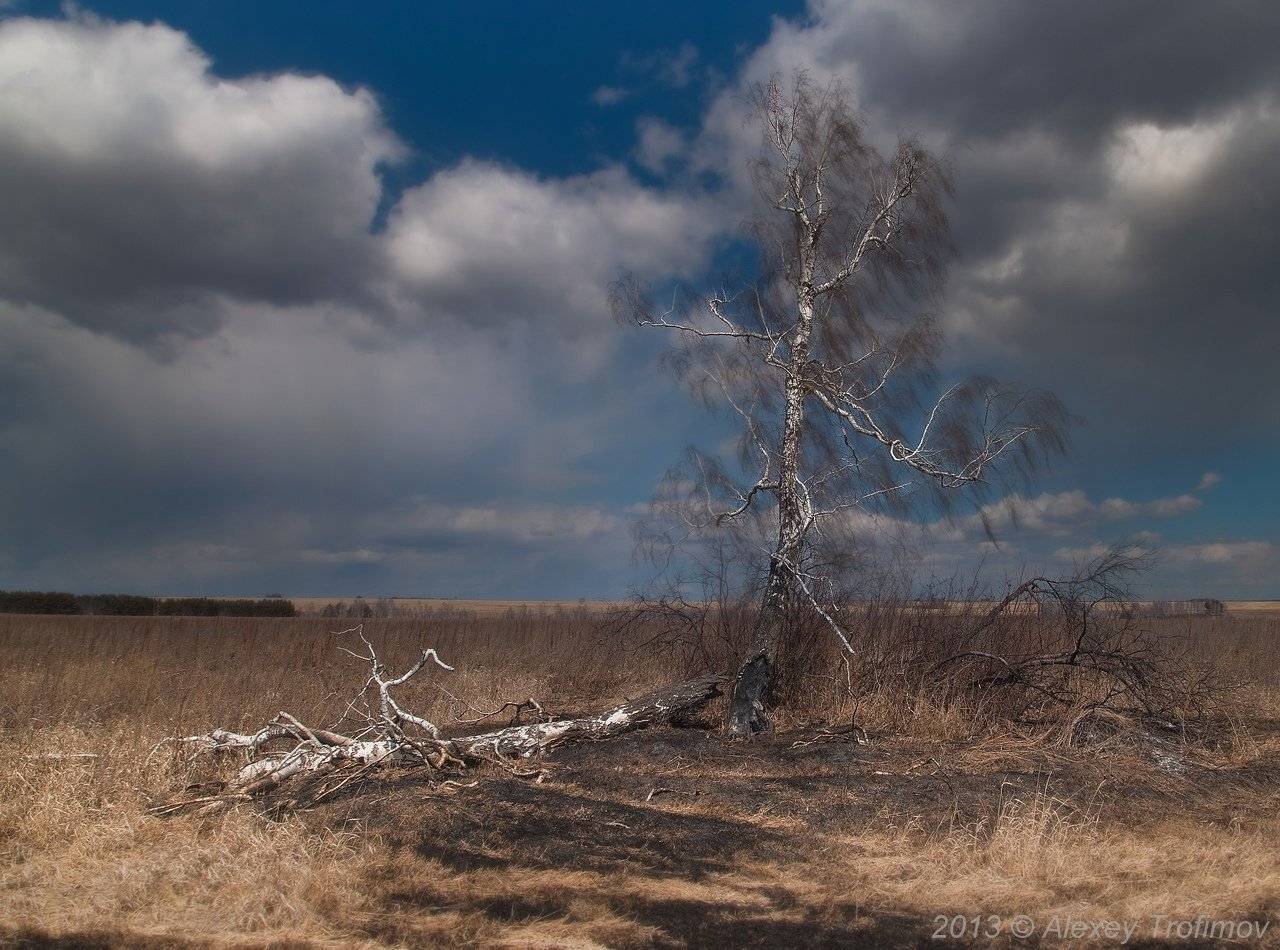 , Алексей Трофимов