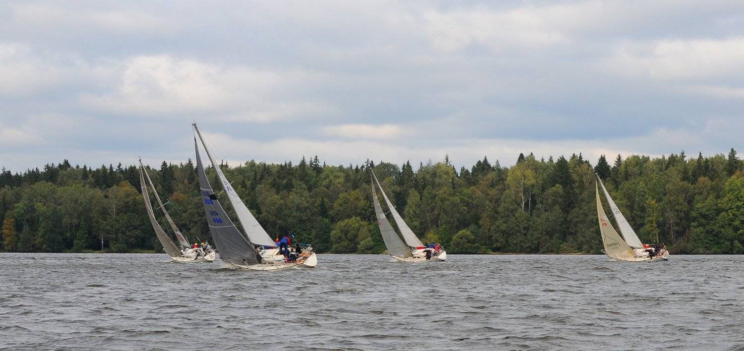 , Сергей Седов