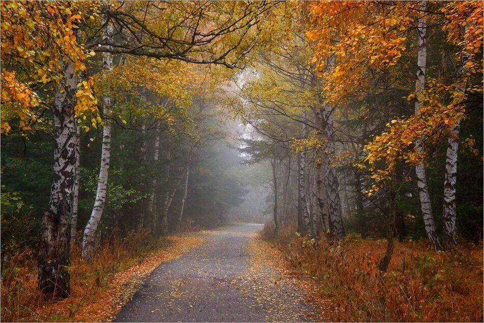 bulgaria, vitosha, Svetoslav