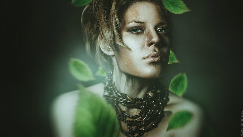 elements of the earth фото превью