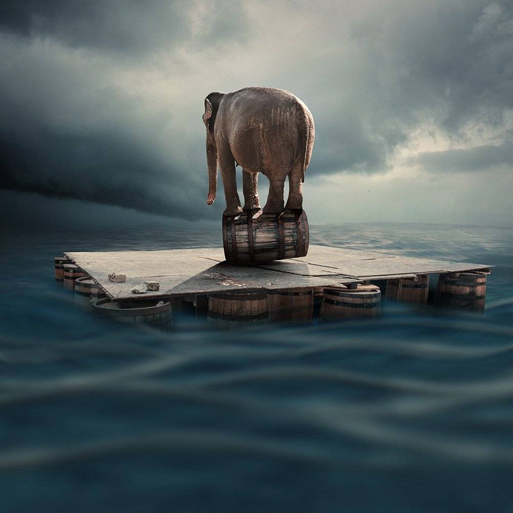 elephant, equlibrum, floting, water, plane, psd, tutorials, manipulation, drum, clouds, water, sky, light, shadow, Caras Ionut