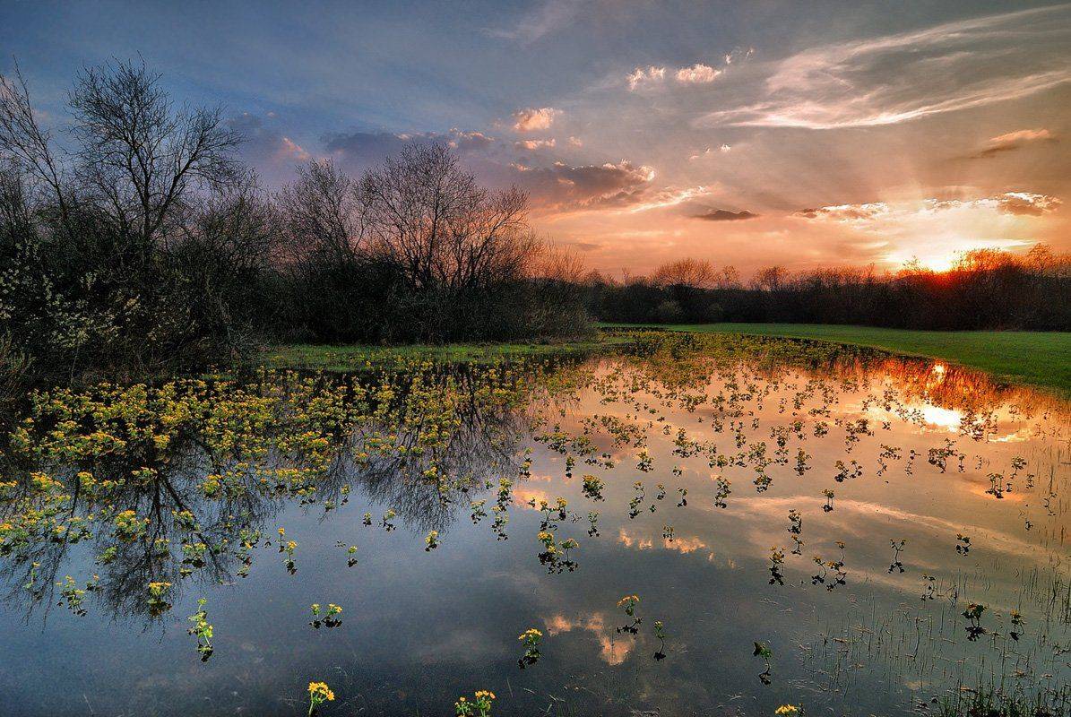 , Клековкин Алексей