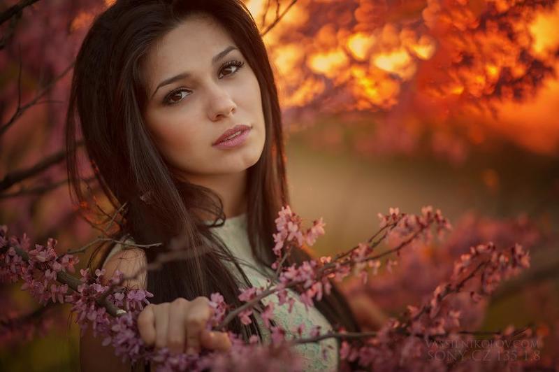 Ell фото превью