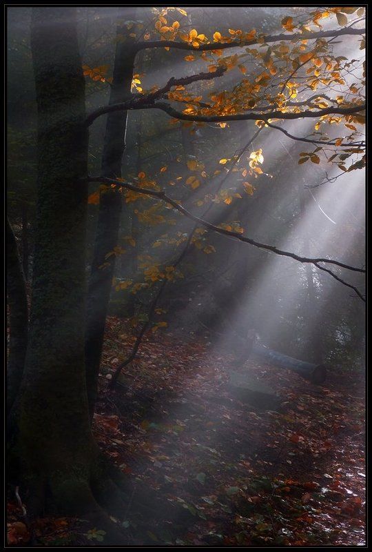 bulgaria, vitosha  фото превью