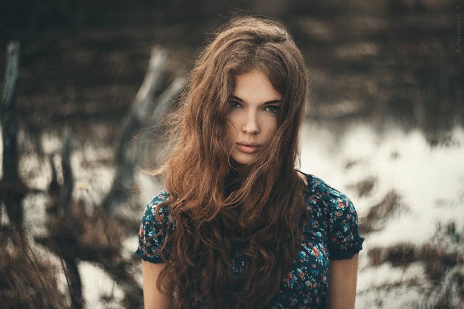 , Машненко Максим