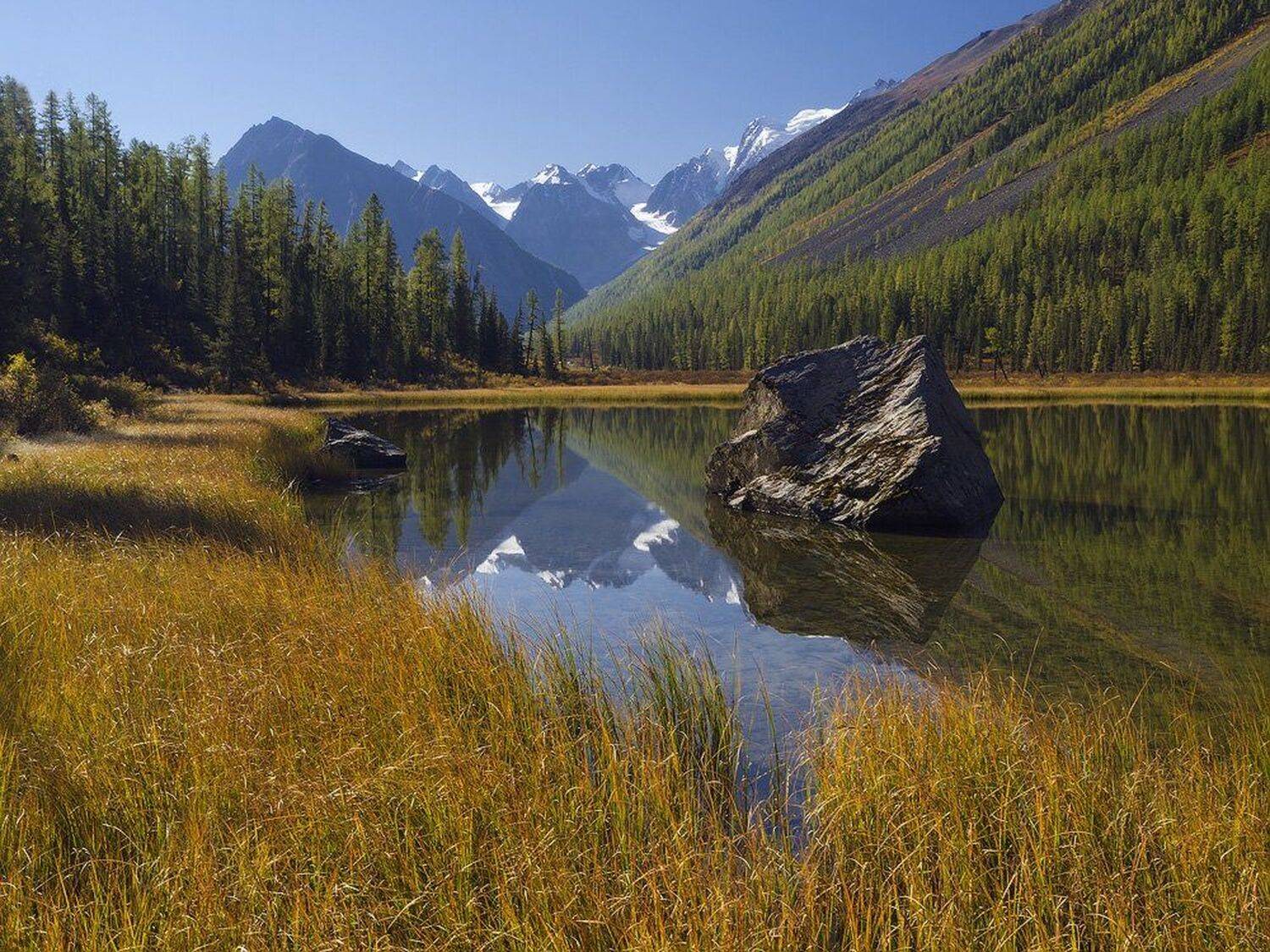 , Лещёнок Александр