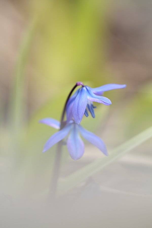 , Сергей Таланов