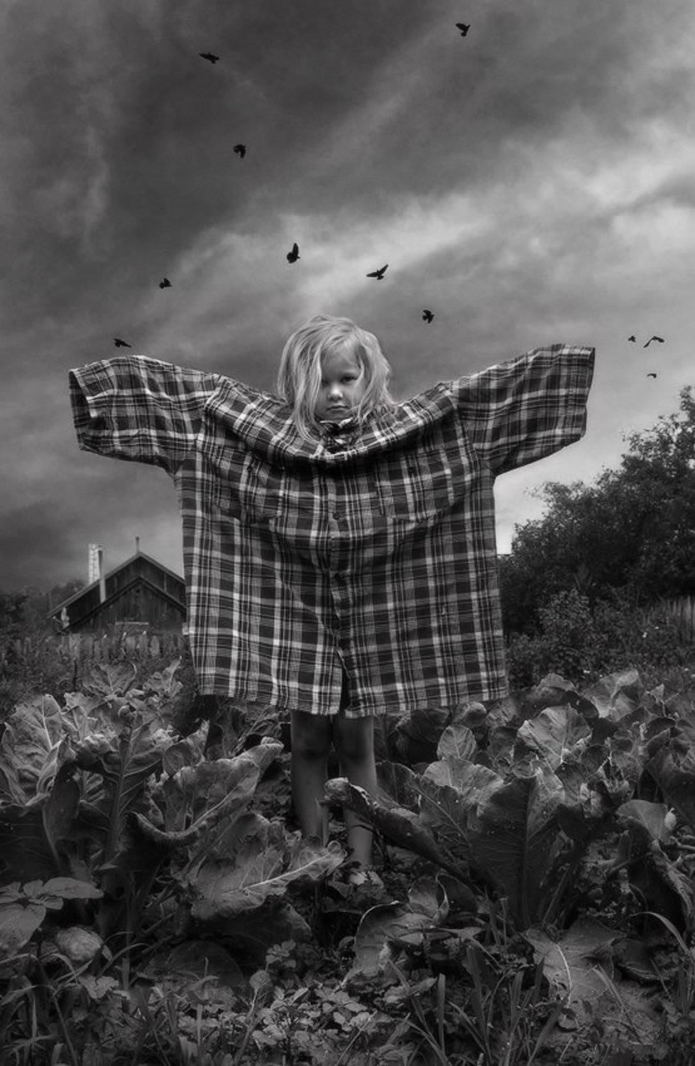 девочка, поле, капуста, вороны, Дмитрий Алексеев