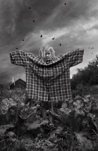 Я сегодня пугало огородное