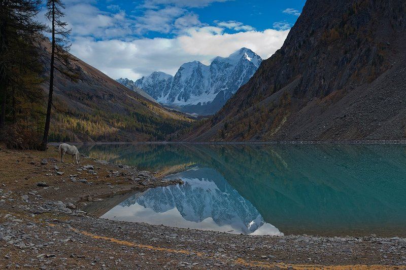 горы, алтай, озеро, шавлинское, река, шавла, северо-чуйский, хребет только мы с конем фото превью