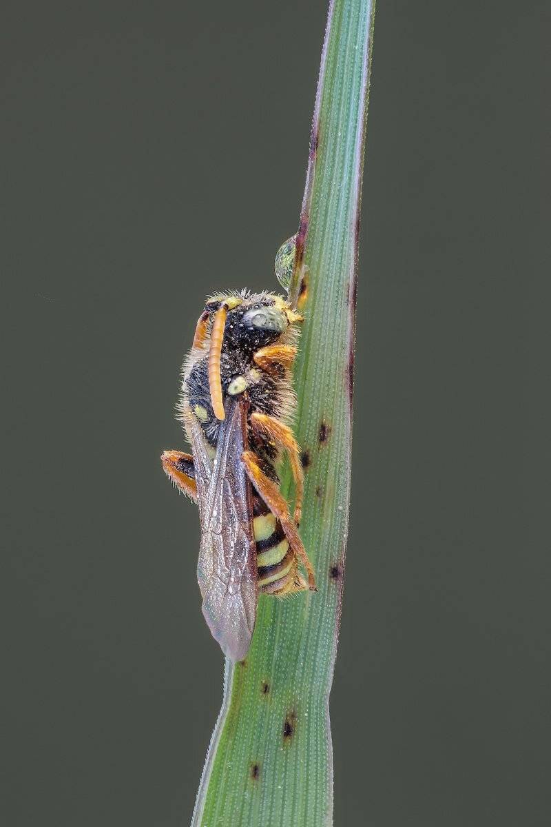 , Вадим Ходаковский