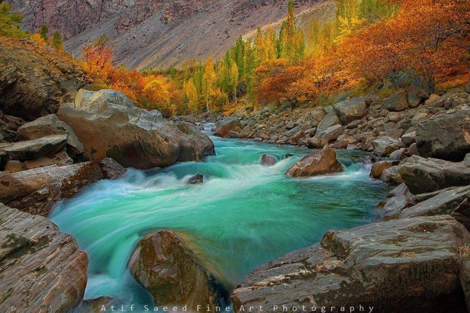 , M Atif Saeed