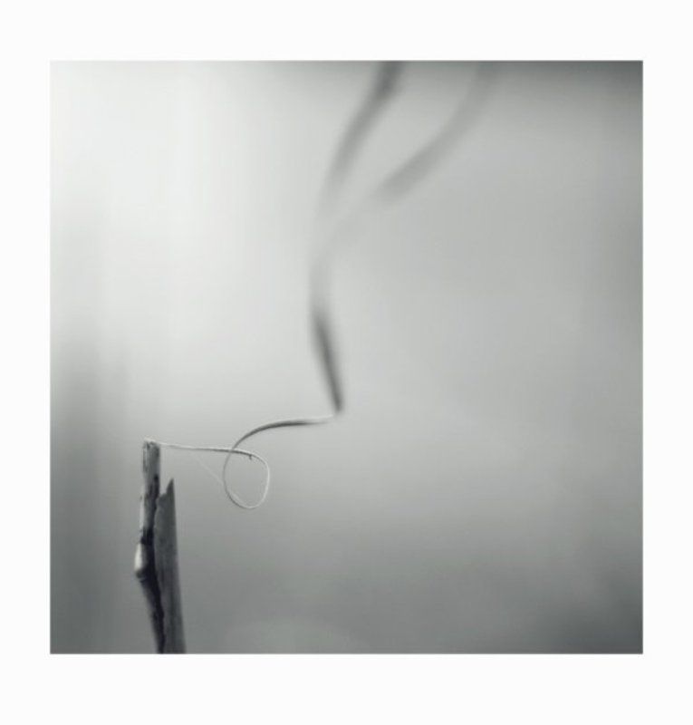 ... фото превью