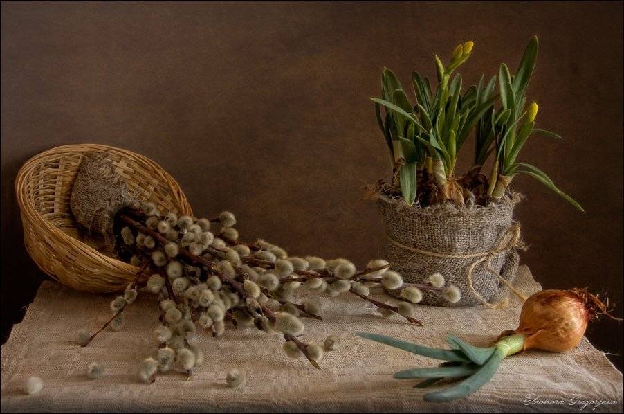 , Eleonora Grigorjeva