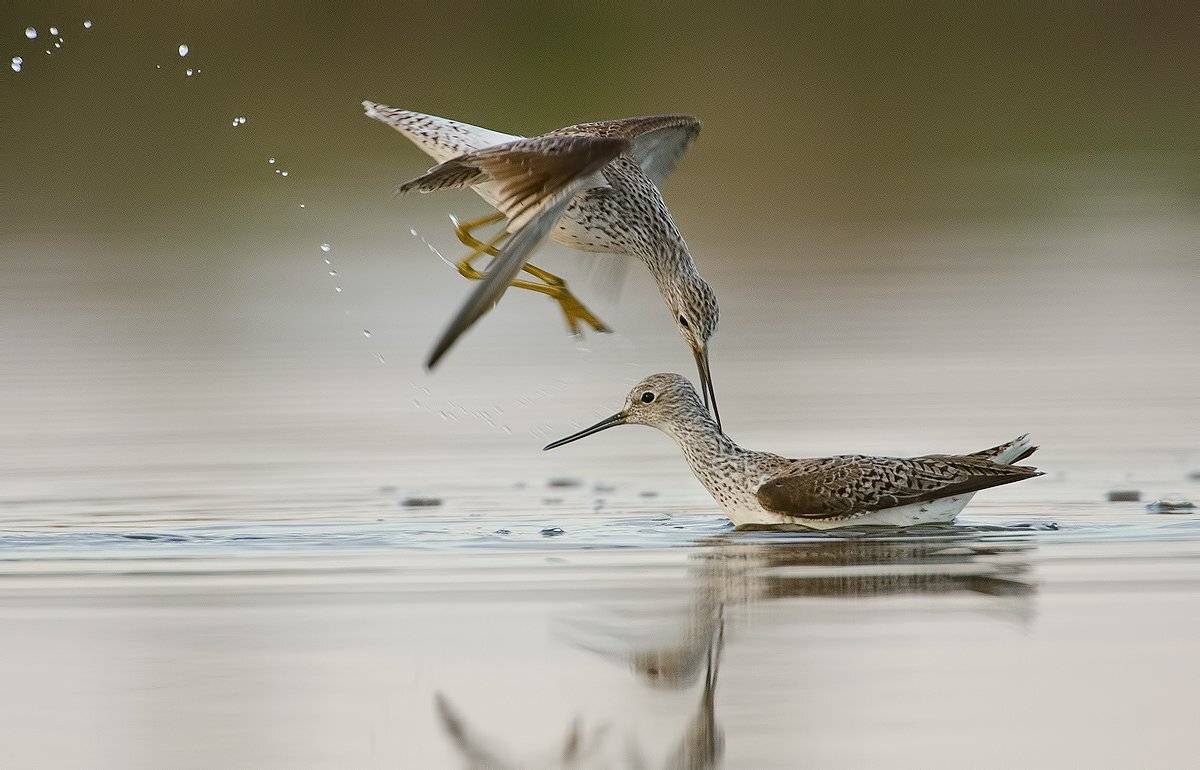 , Сергей Златков