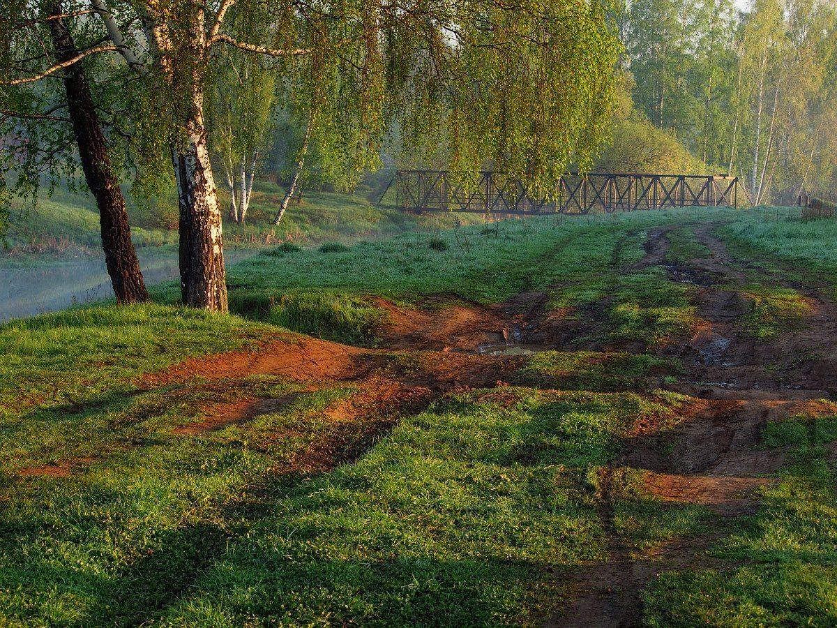 , Владимир Перепечаев