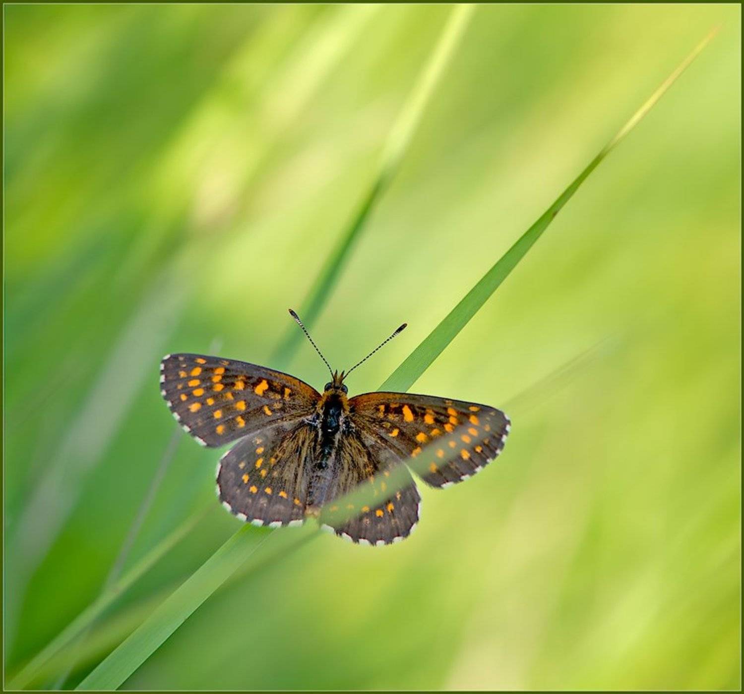 , Евгений Кирилкин.