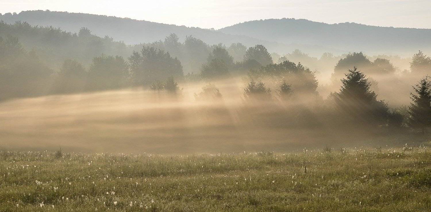, Света и Вася