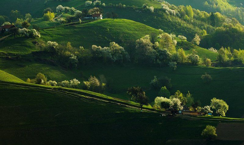 Morning waves фото превью