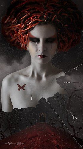 Забытый мрак