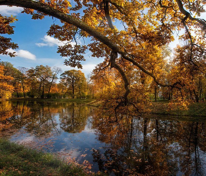 осень *** фото превью