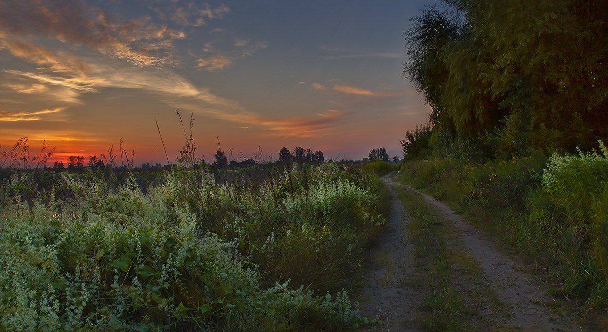 купавна, Андрей Леонидович
