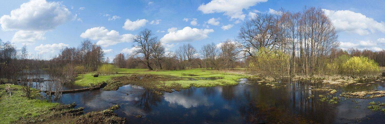 весна, мещера, река, вода, луга, май, рязанская область, Валерий Пешков