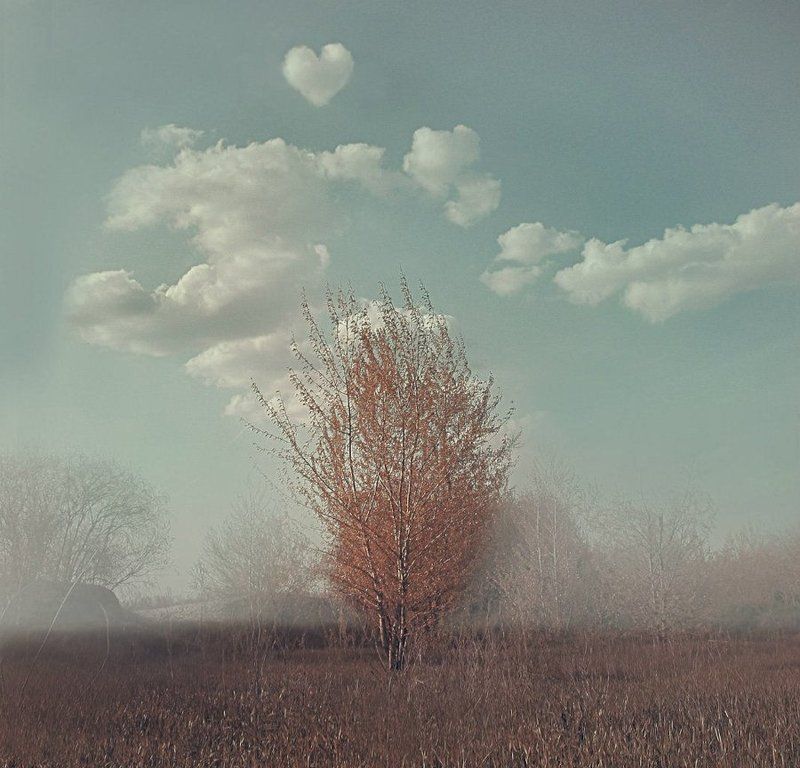 _ фото превью