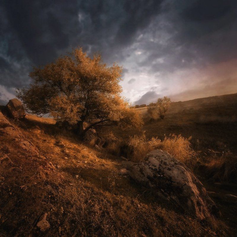 Степной овражек (ремикс) фото превью