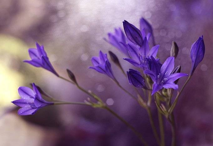 , Kasia Mycatherina Pietraszko