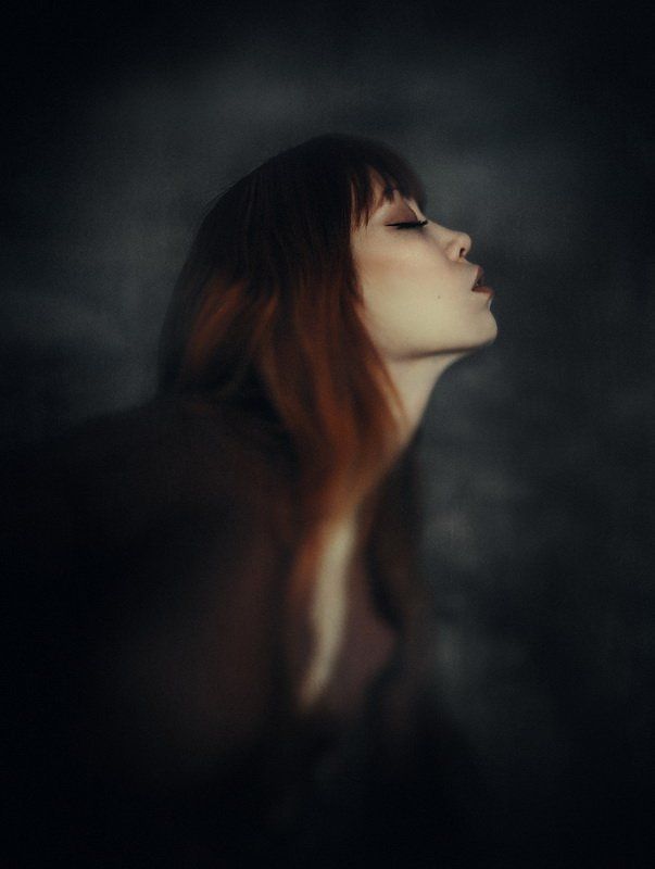 Лиса фото превью