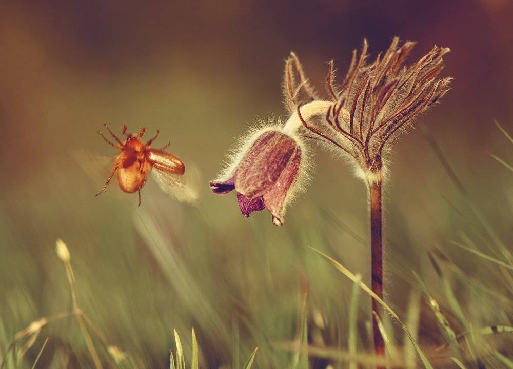 , Татьяна Аверина