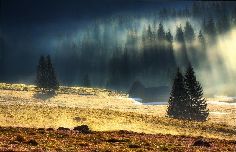Misty Morning in Tatras