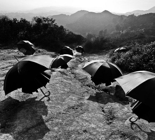 Волшебные грибы