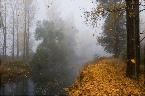 Листопад