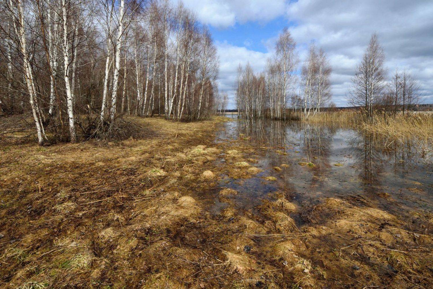 вашутинское, озеро, Максим Евдокимов