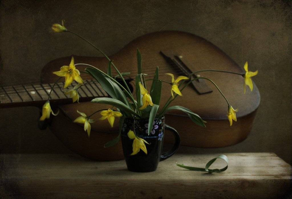 , Петрова Татьяна