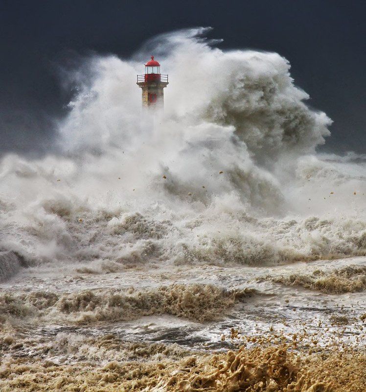 From Within фото превью