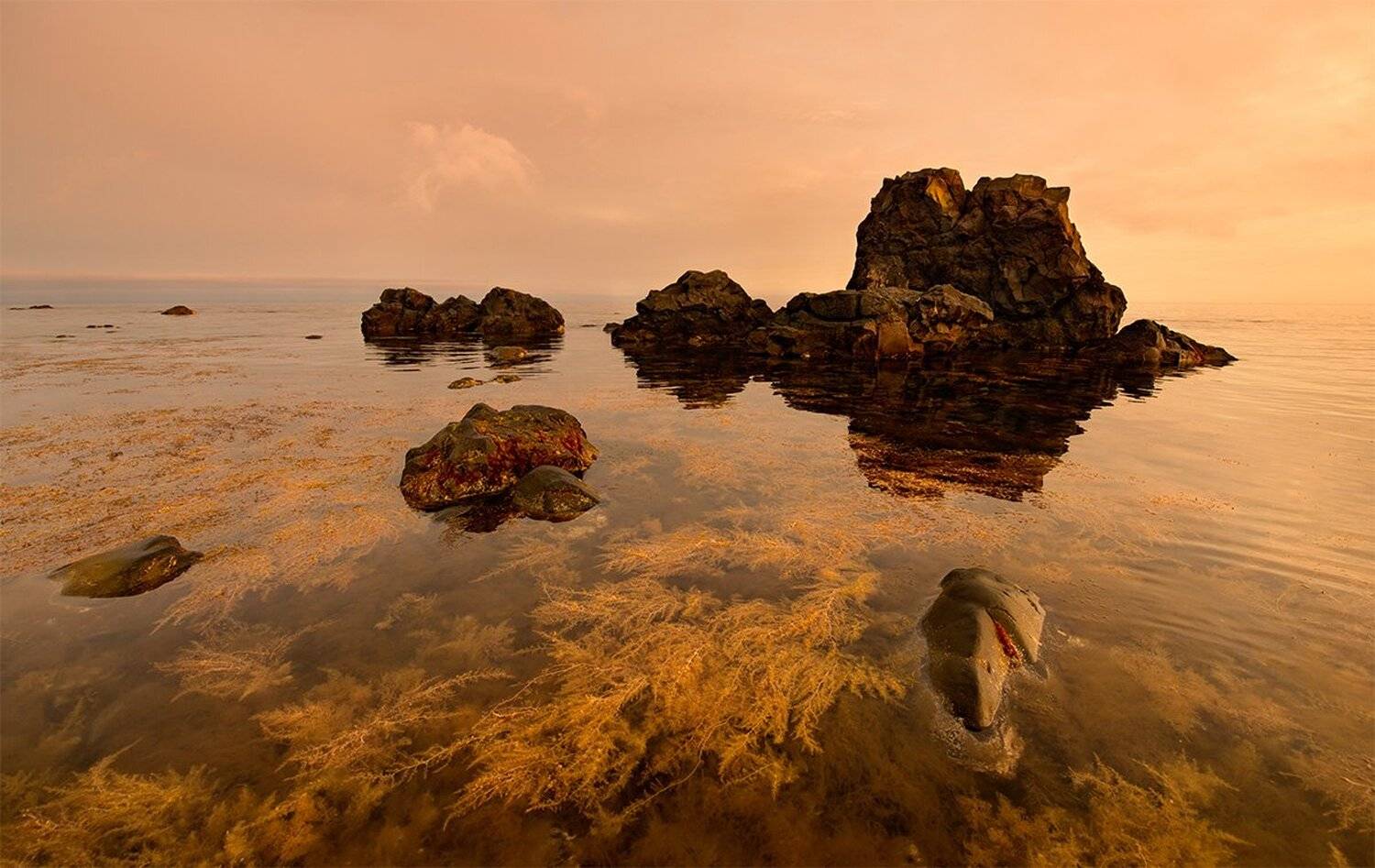 сахалин, sakhalin, зинаида макарова, zinaida makarova, Zinaida Makarova